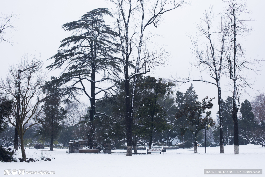 雪景图