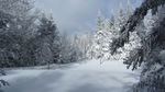 雪景图