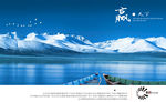 公司文化