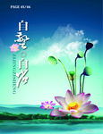 公司文化