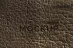 LOGO样机