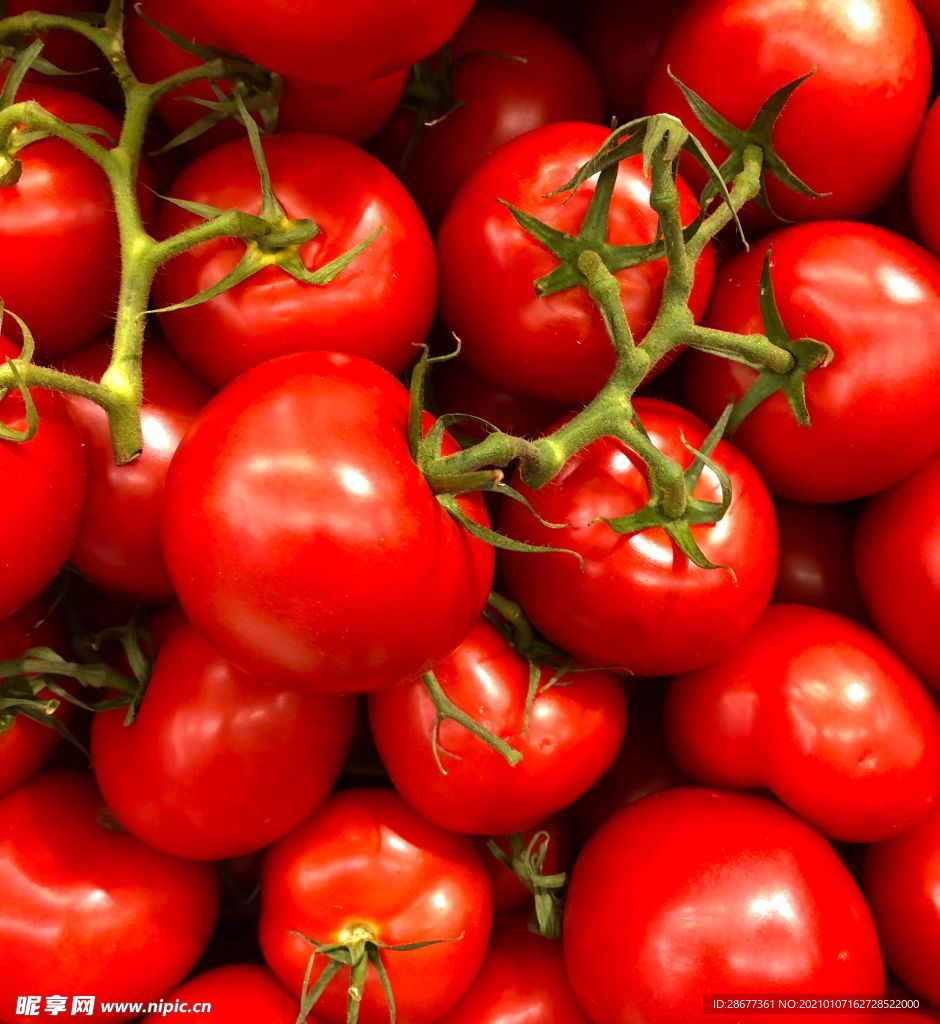 西红柿蔬菜摄影