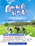 牛奶海报