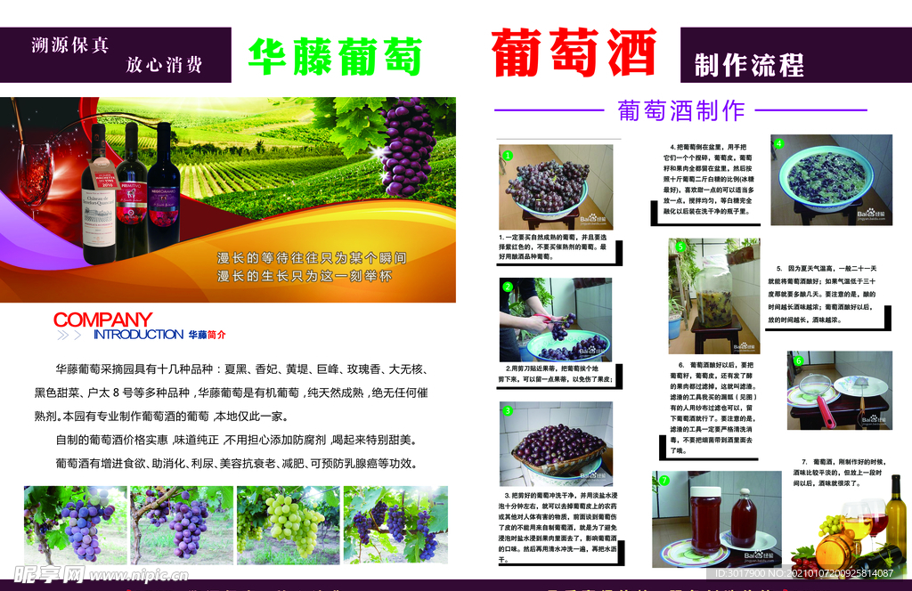 葡萄酒