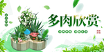 多肉植物绿植活动宣传海报素材