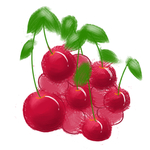 夏季水果樱桃手绘插画素材