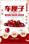 时尚简约车厘子海报