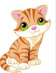 猫 上叁拾柒