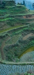 唯美  风景  图片
