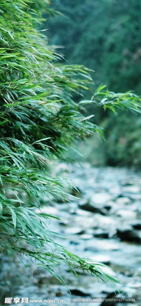 唯美  风景  图片