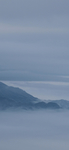 唯美  风景  图片