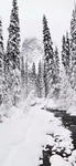 唯美  风景  图片 雪景