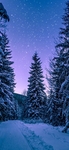 唯美  风景  图片 雪景