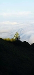 唯美  风景  图片
