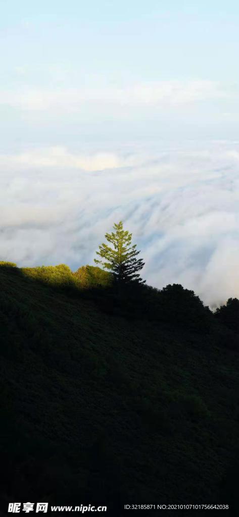 唯美  风景  图片