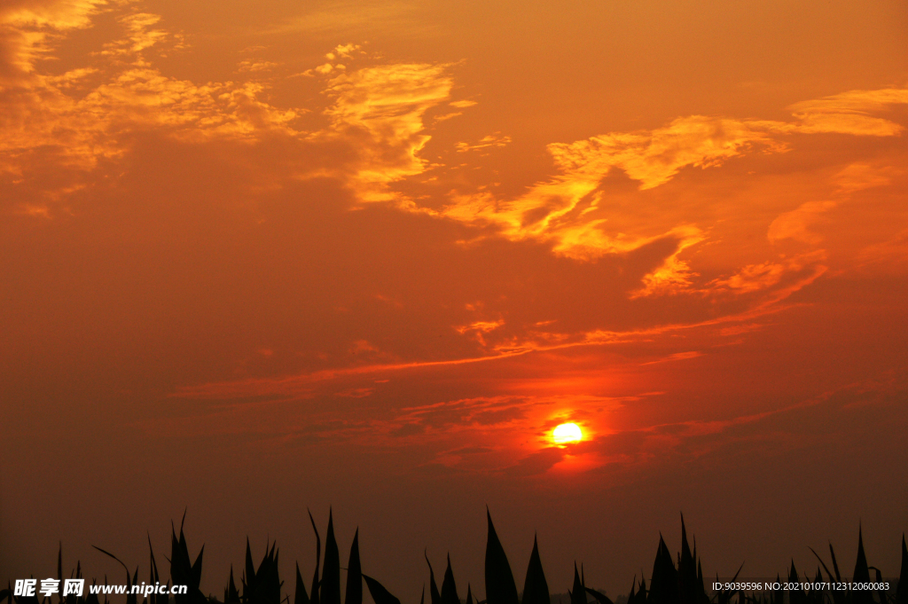 红色夕阳