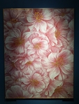 花卉