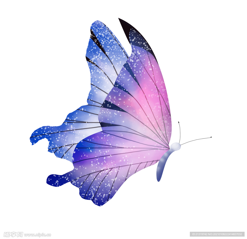 蝴蝶标本笔刷 - 优动漫-动漫创作支援平台 | 优动漫PAINT绘画软件