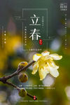 立春