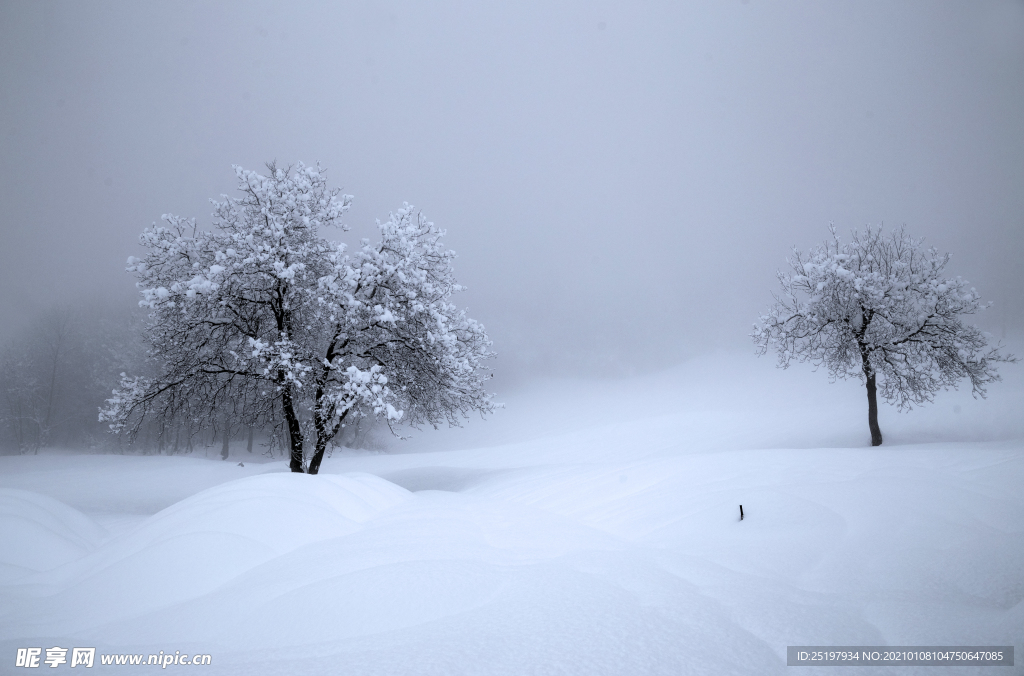 雪景