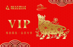 vip 会员卡
