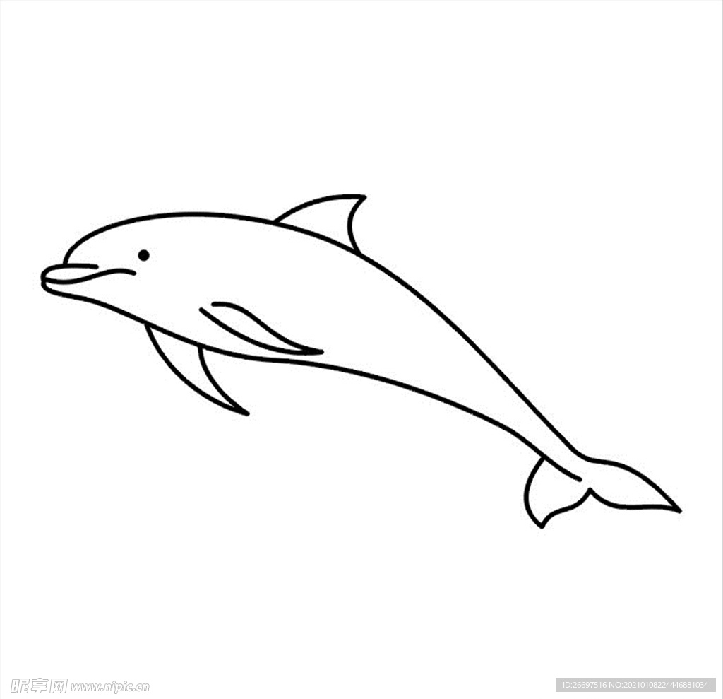 海豚图案
