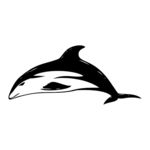 海豚CDR矢量图