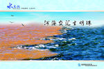 公司文化