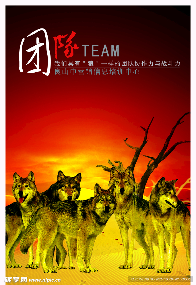 公司文化