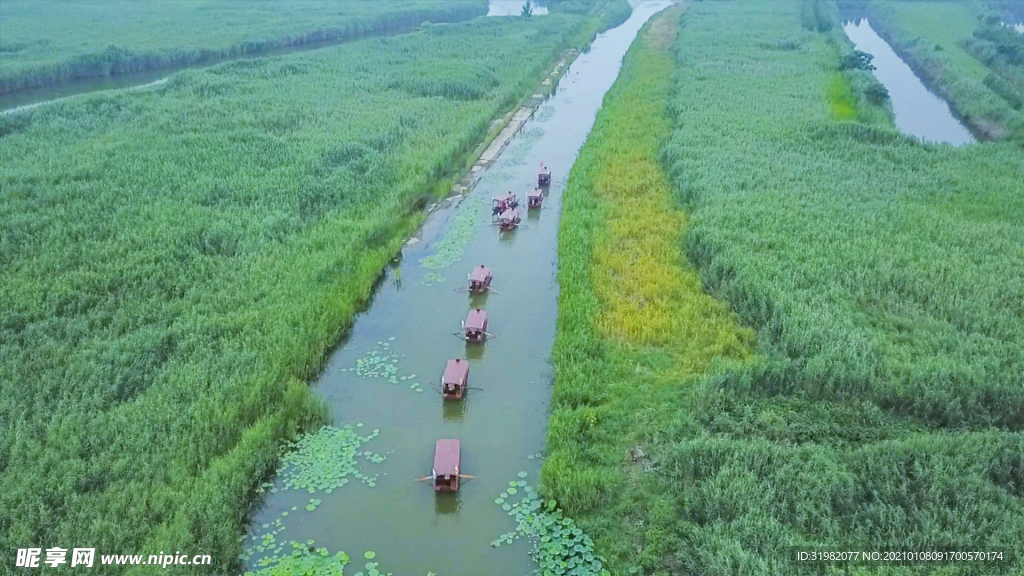 东平湖湿地