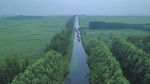 东平湖湿地