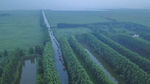 东平湖湿地