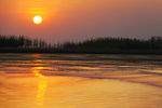 东平湖