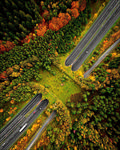 森林 公路