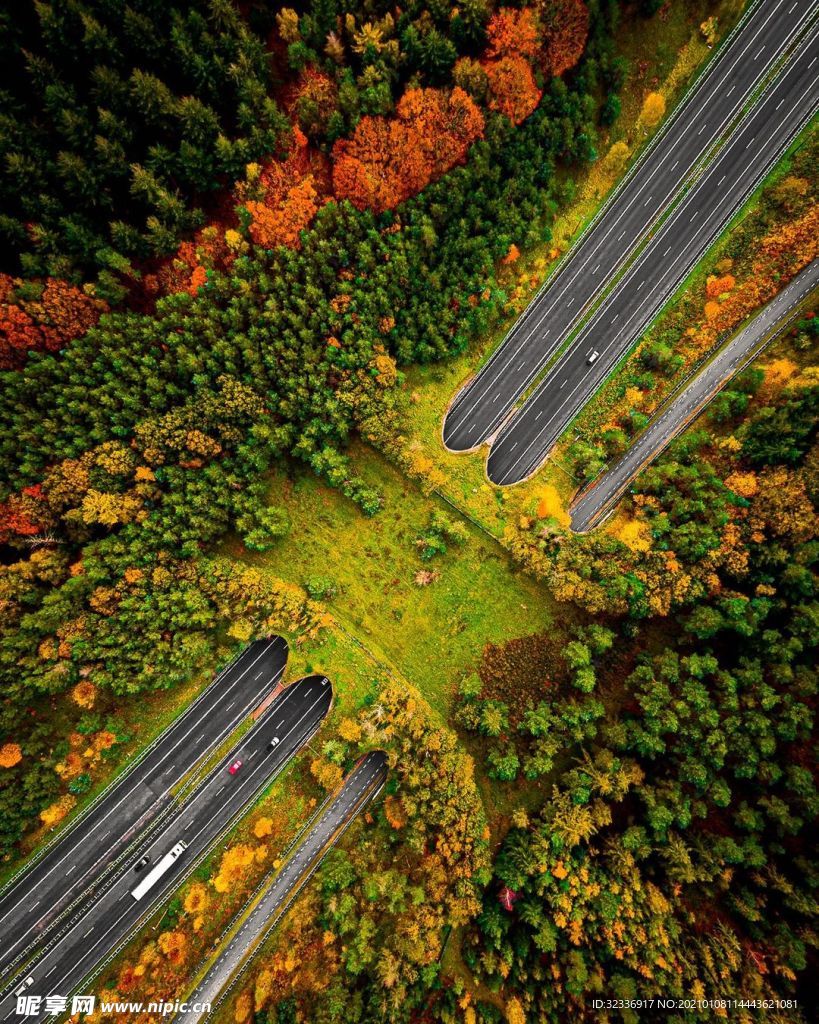 森林 公路
