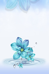 水滴  蓝色  花  背景