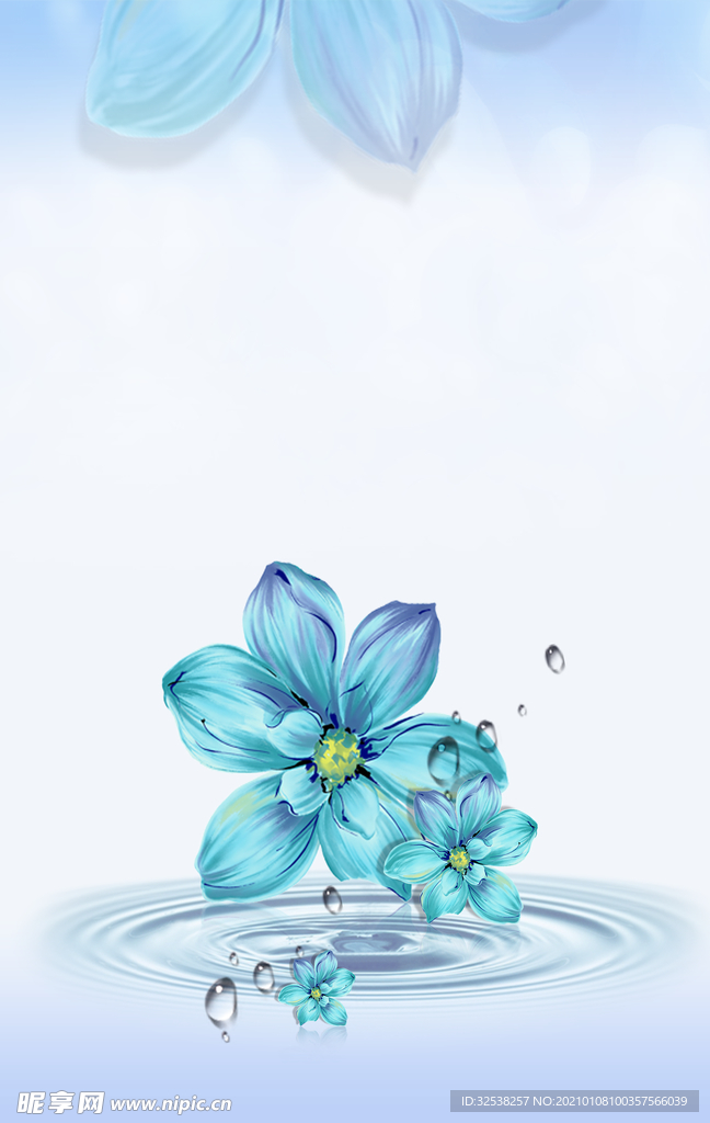 水滴  蓝色  花  背景