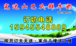 奶