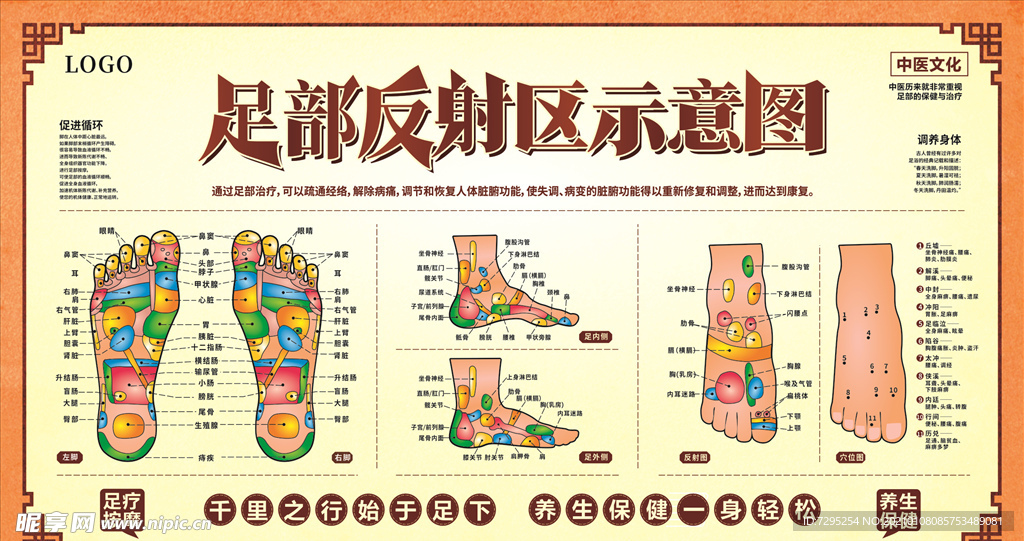 足部反射区示意图