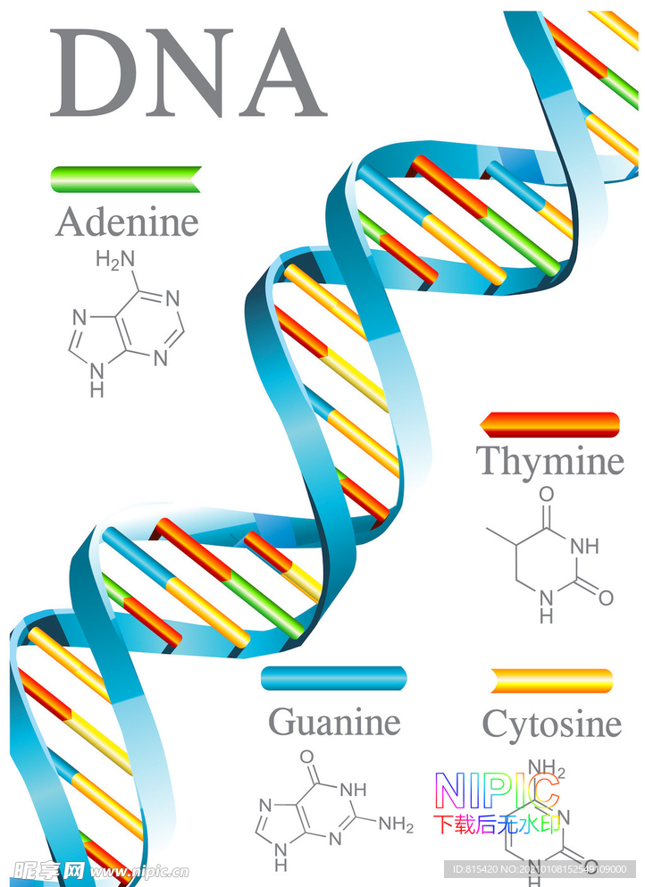 dna图形