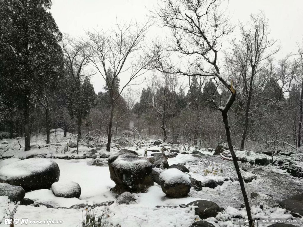 雪景