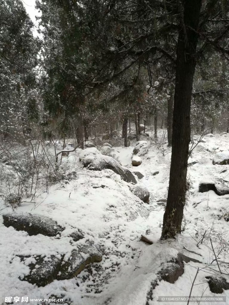 雪景