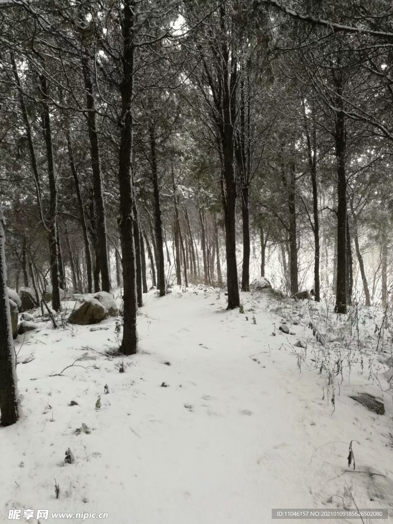 雪景