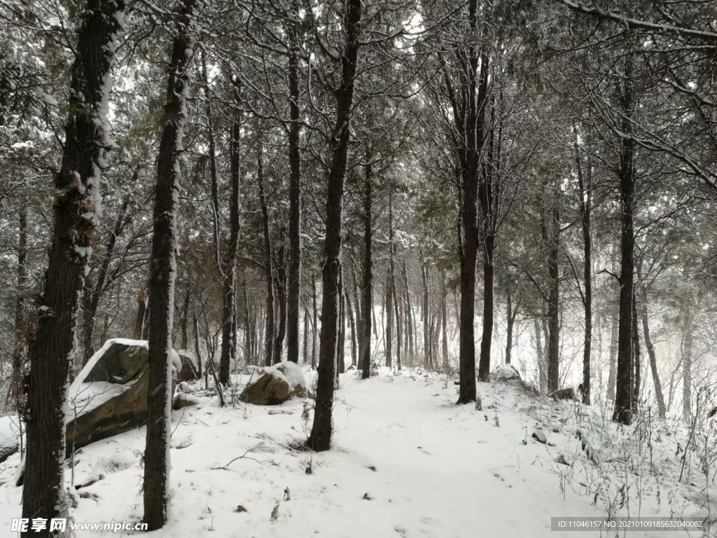 雪景