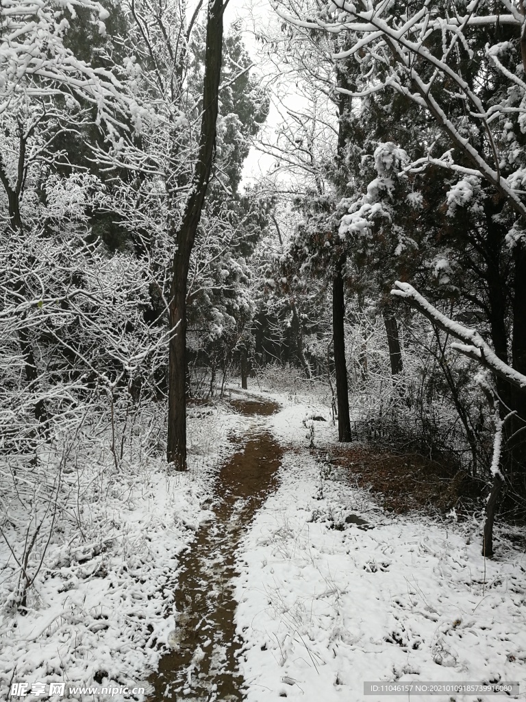 雪景