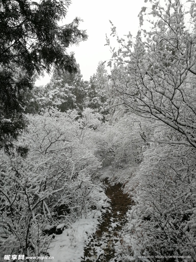 雪景