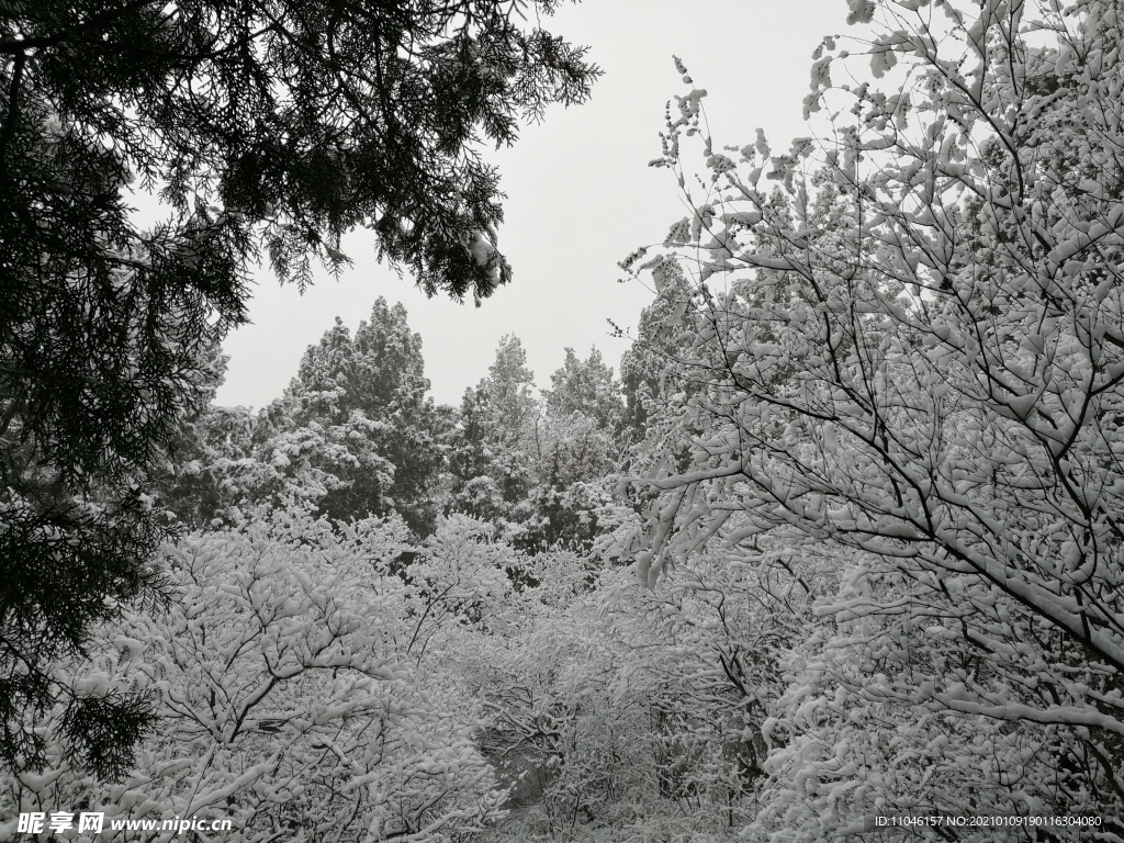 雪景