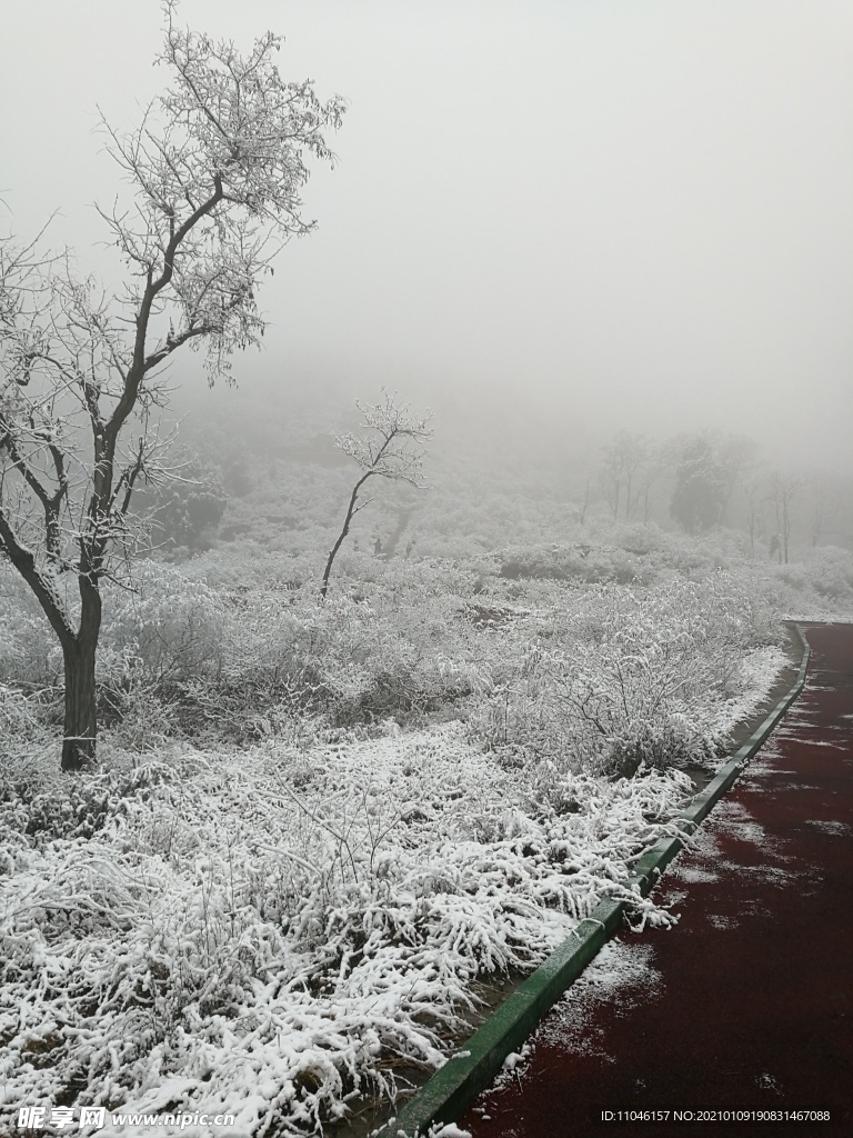 雪景