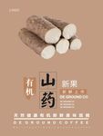 山药海报