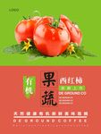 西红柿海报